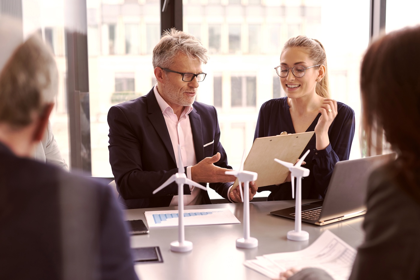 rådgiver i Grant Thornton